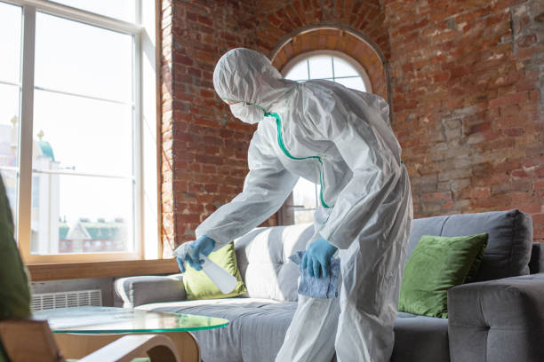 Best Asbestos and Lead Testing During Mold Inspection  in Ceres, CA