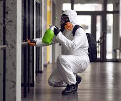 Best Mold Removal for HVAC Installations  in Ceres, CA